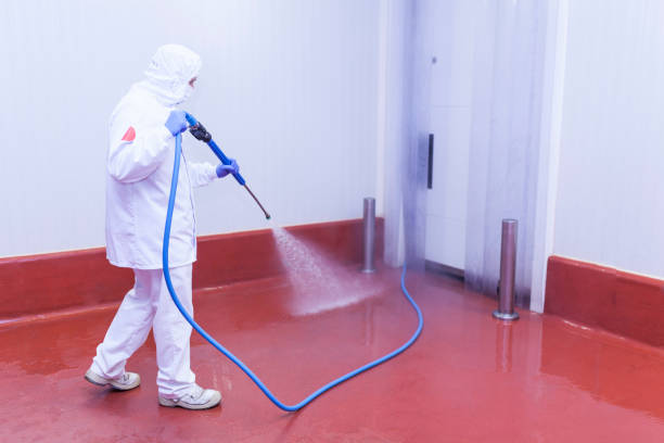 Paint Preparation in Pampa, TX